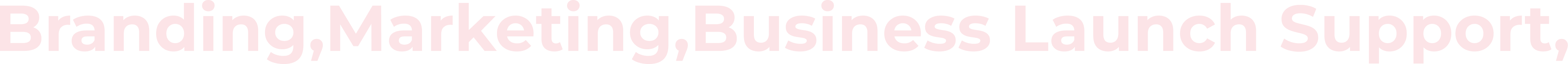 Branding, Marketing, Business Launch Support