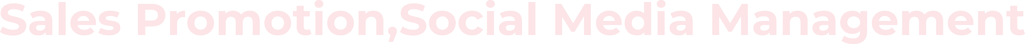 Sales Promotion, Social Media management